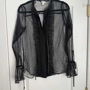 Hinge Black Sheer Ruffle Blouse